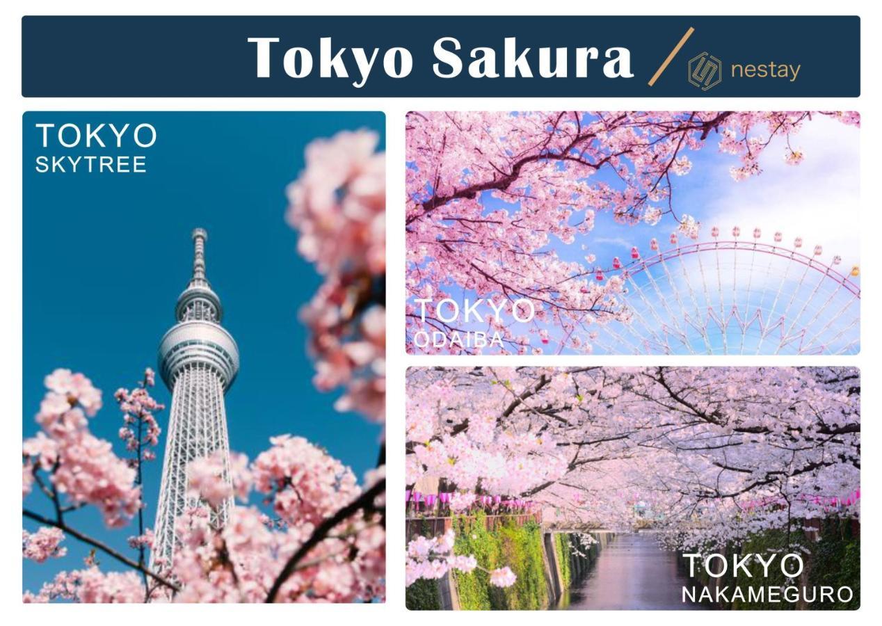 nestay inn tokyo otsuka 403 Eksteriør billede