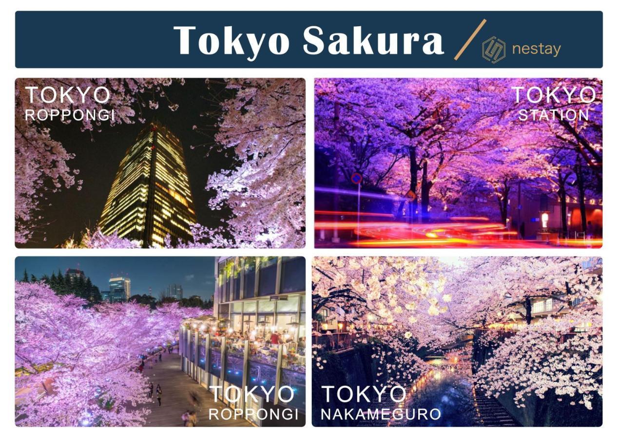 nestay inn tokyo otsuka 403 Eksteriør billede